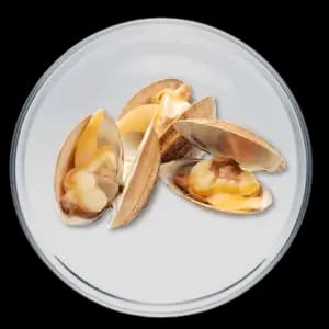 Picture of Glucosamine